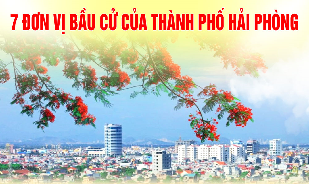 7 đơn vị bầu cử của thành phố Hải Phòng